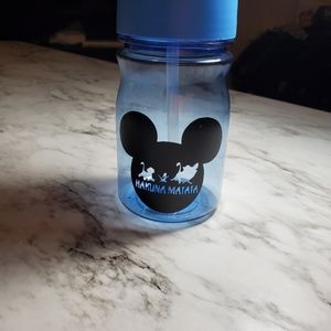 Disney small water bottle